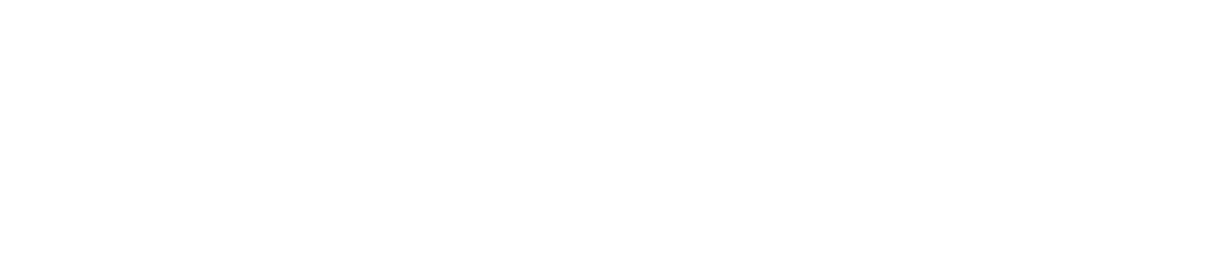 Tomorrowland Academy